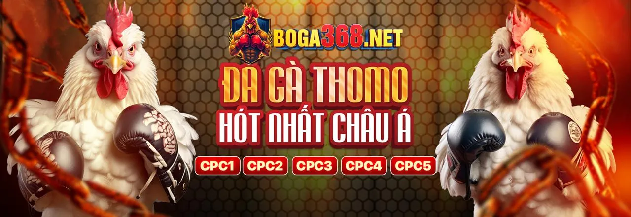 Đá Gà Trực Tuyến HM88 - Sân Chọi Gà Hấp Dẫn